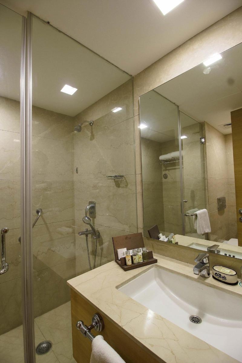 The Nikunj Hotels image