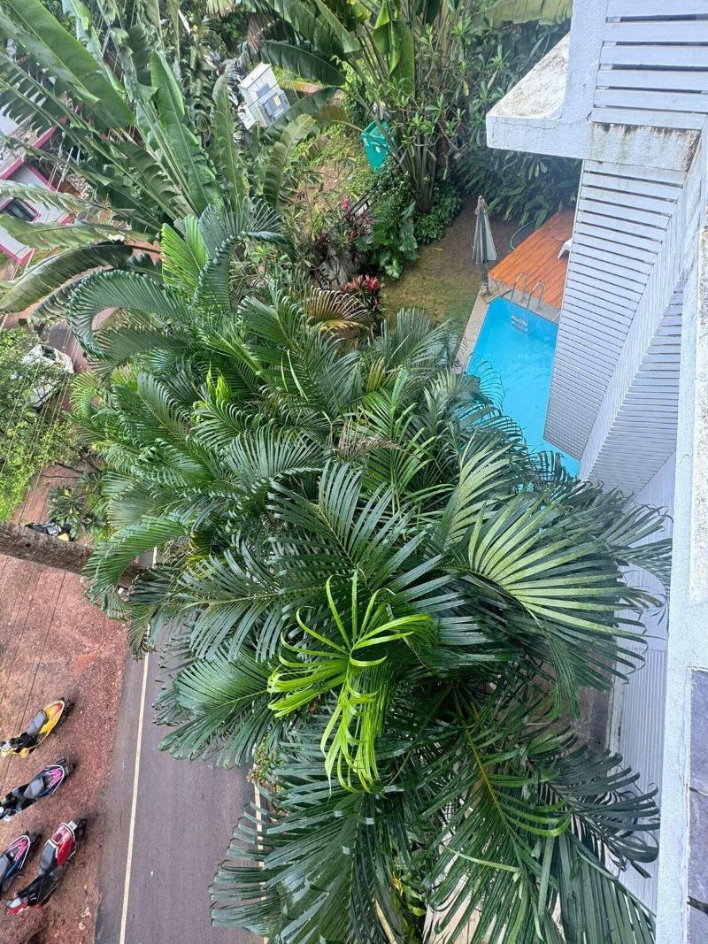 Half Hotel image