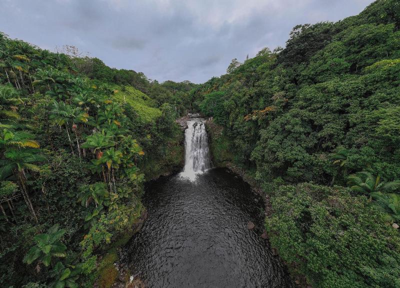 Howzit Hostels Hawaii image