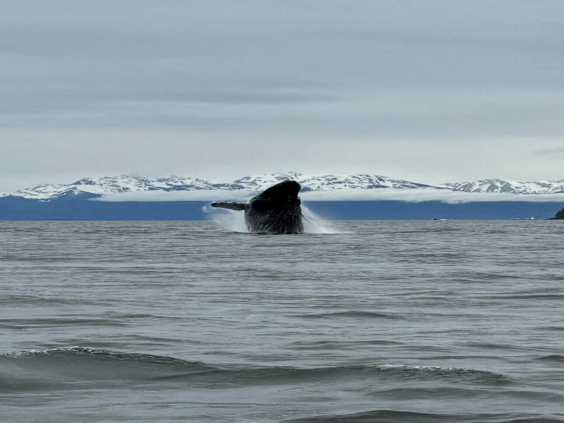 Waterfront On Glacier