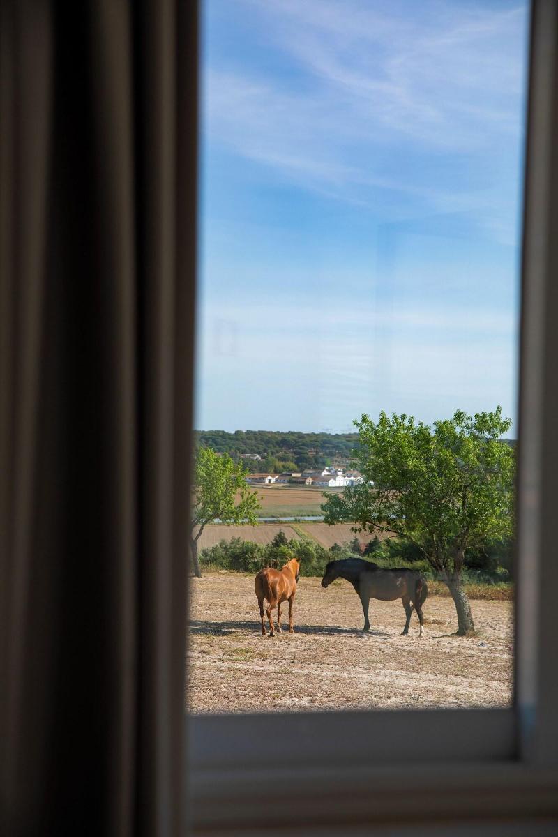 4Ever Palace Design&Nature image