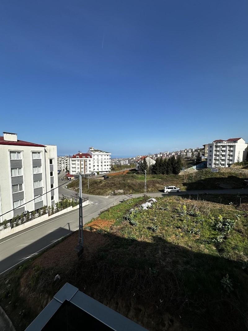 Kaya Home Apart image