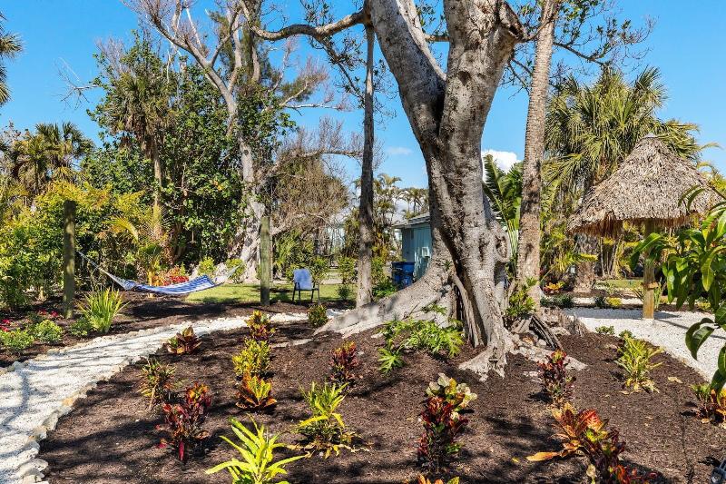 Driftwood Inn image