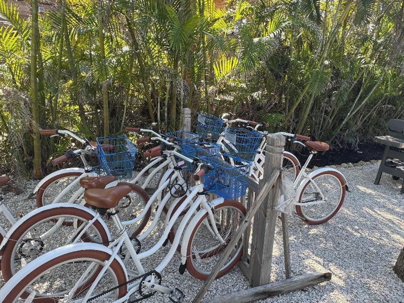 Driftwood Inn image