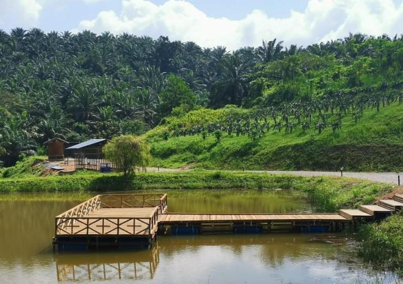 Talula Hill Farm Resort