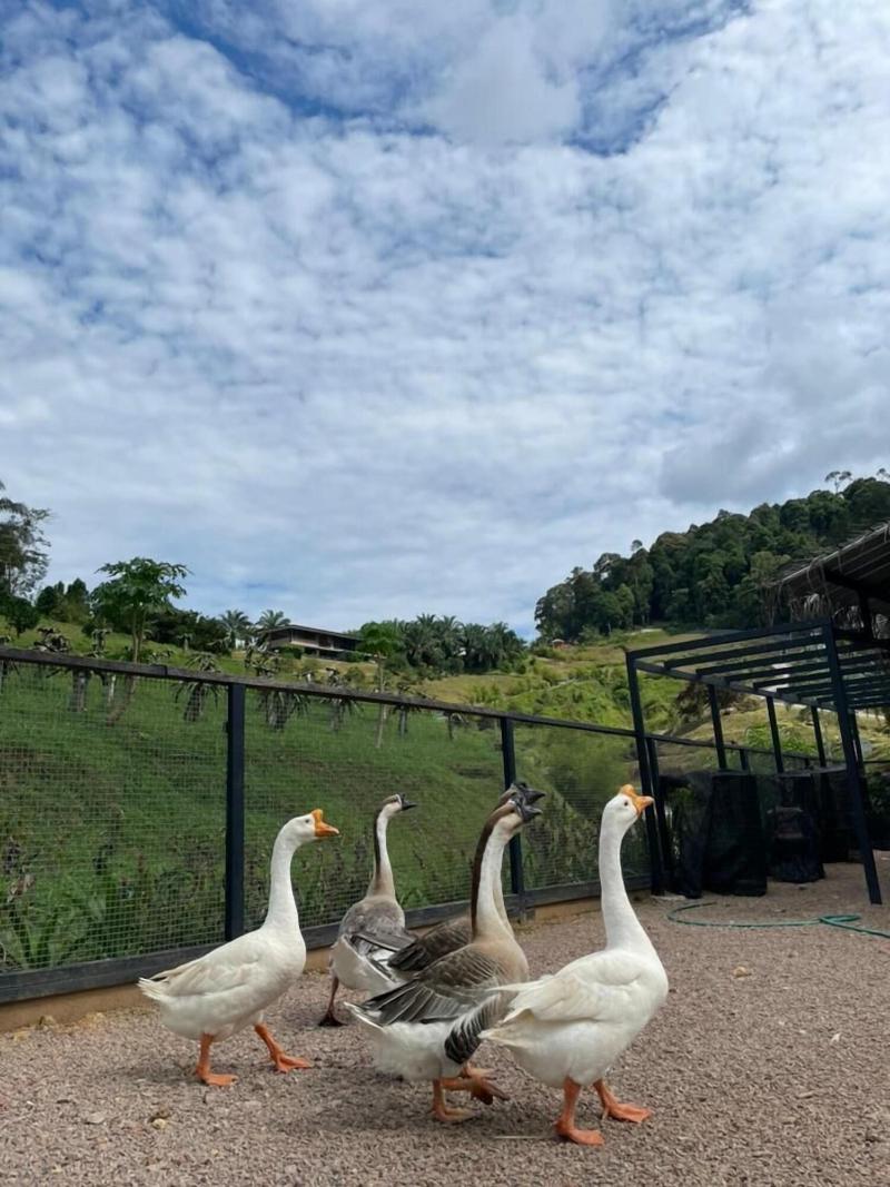 Talula Hill Farm Resort