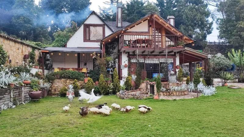 The Frailejon House 3
