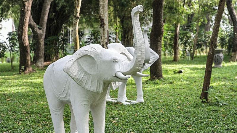 Sandesh Water Edge Kabini — general view