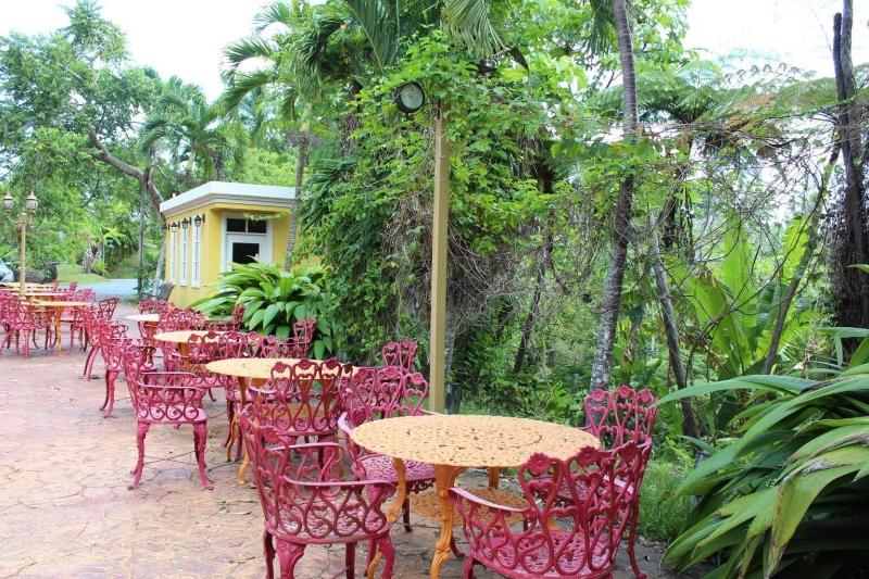 El Oasis Hotel image