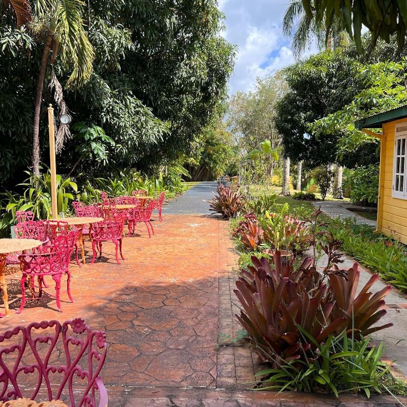 El Oasis Hotel image