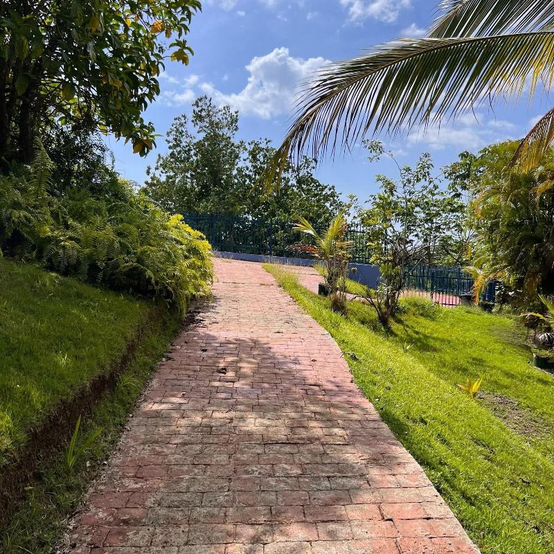 El Oasis Hotel image