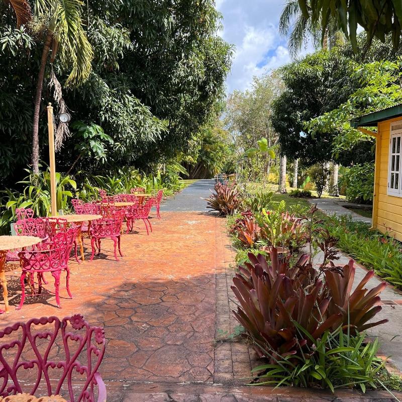 El Oasis Hotel image