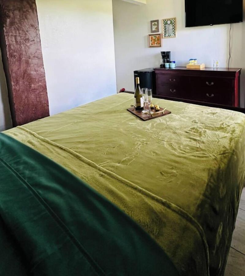El Oasis Hotel image