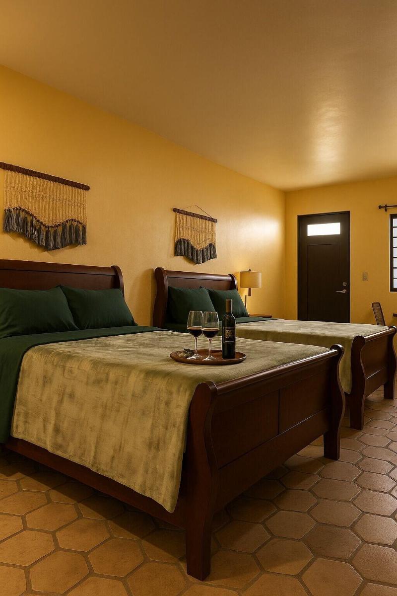 El Oasis Hotel image