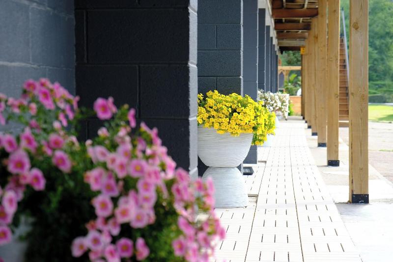 Stay Inn Muskoka — general view