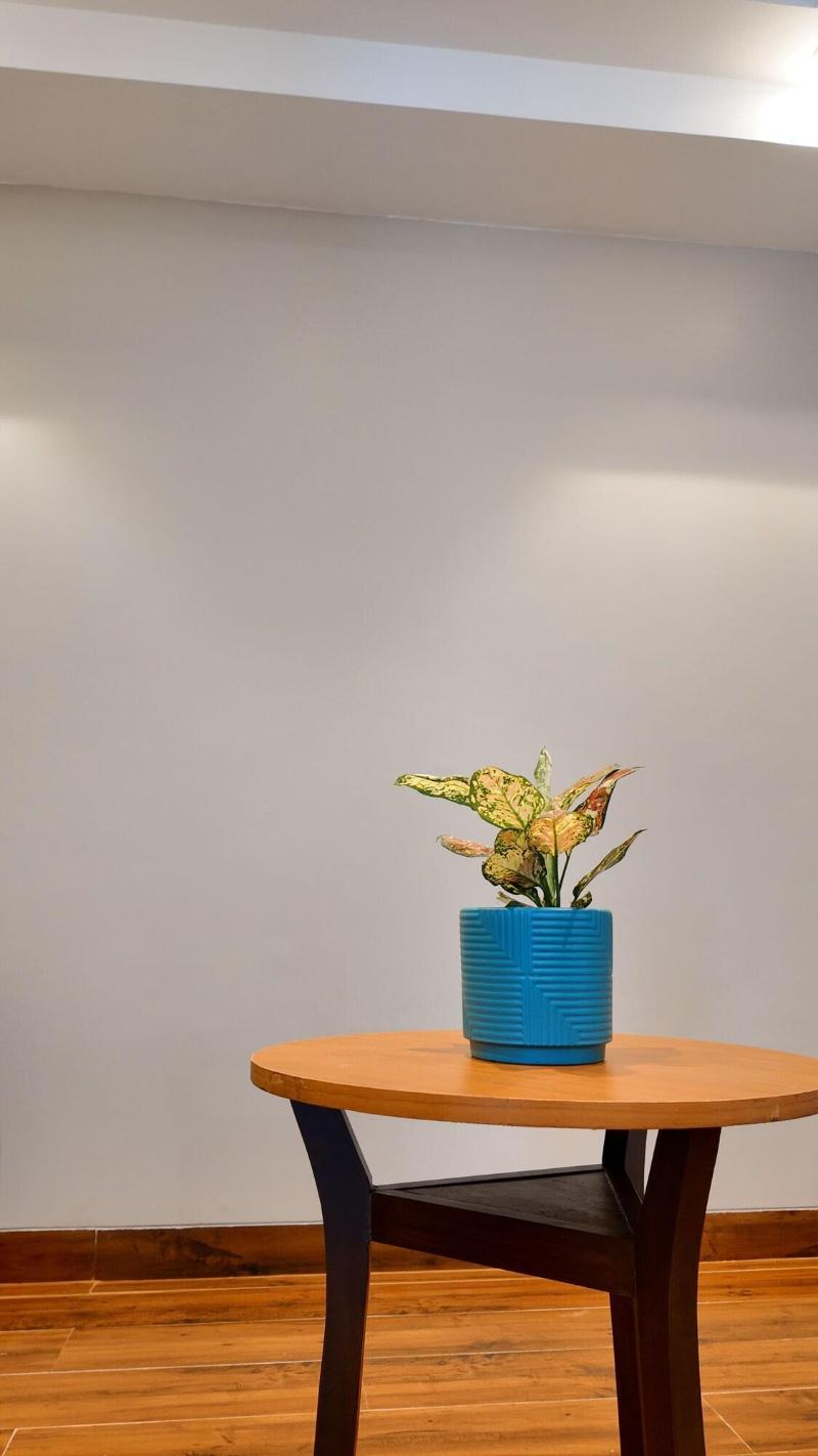 Fortune Select Candolim image