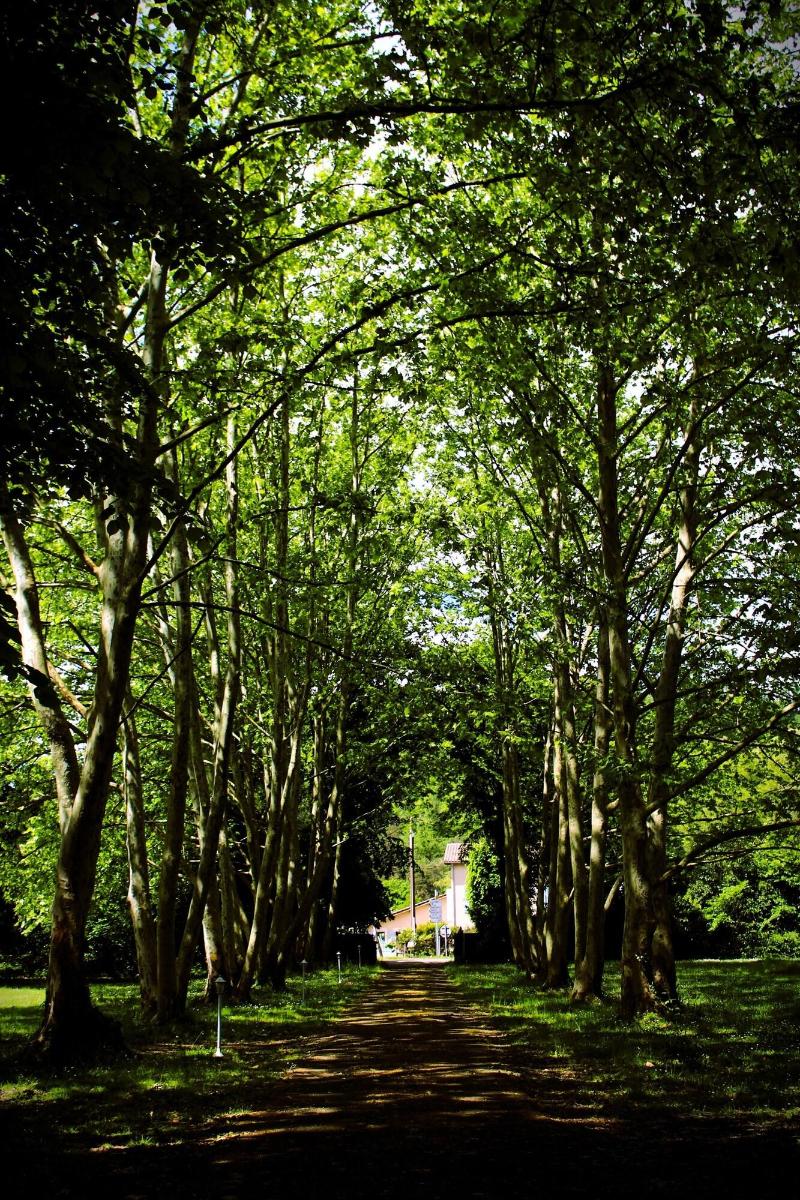 Domaine La Gazaille De Camille image