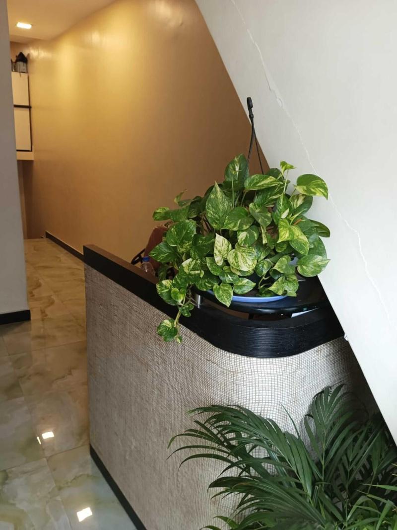 New Tara By Glitz Hotels image