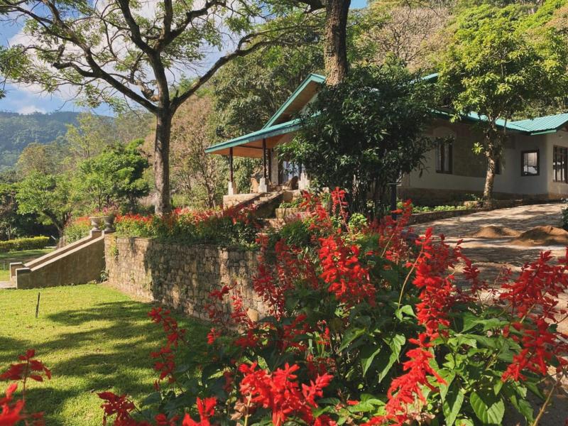 Bawlana Estate Kandy