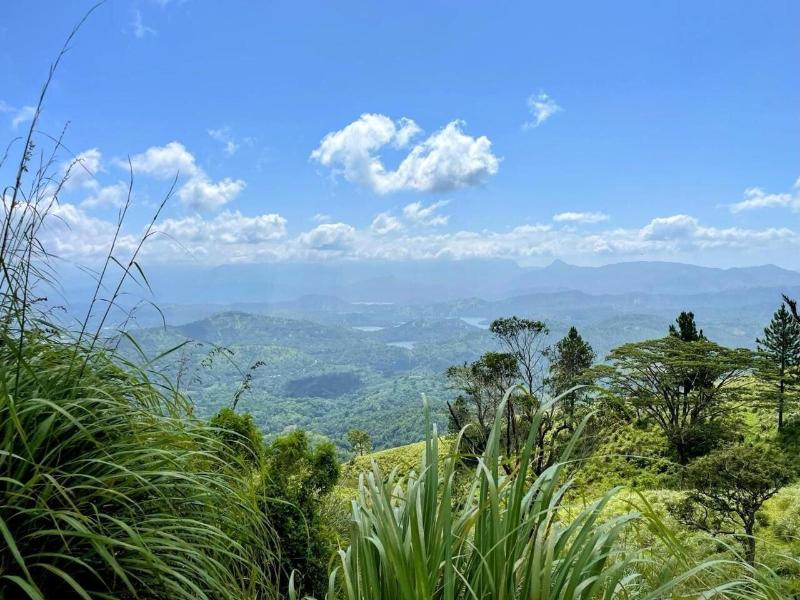 Bawlana Estate Kandy