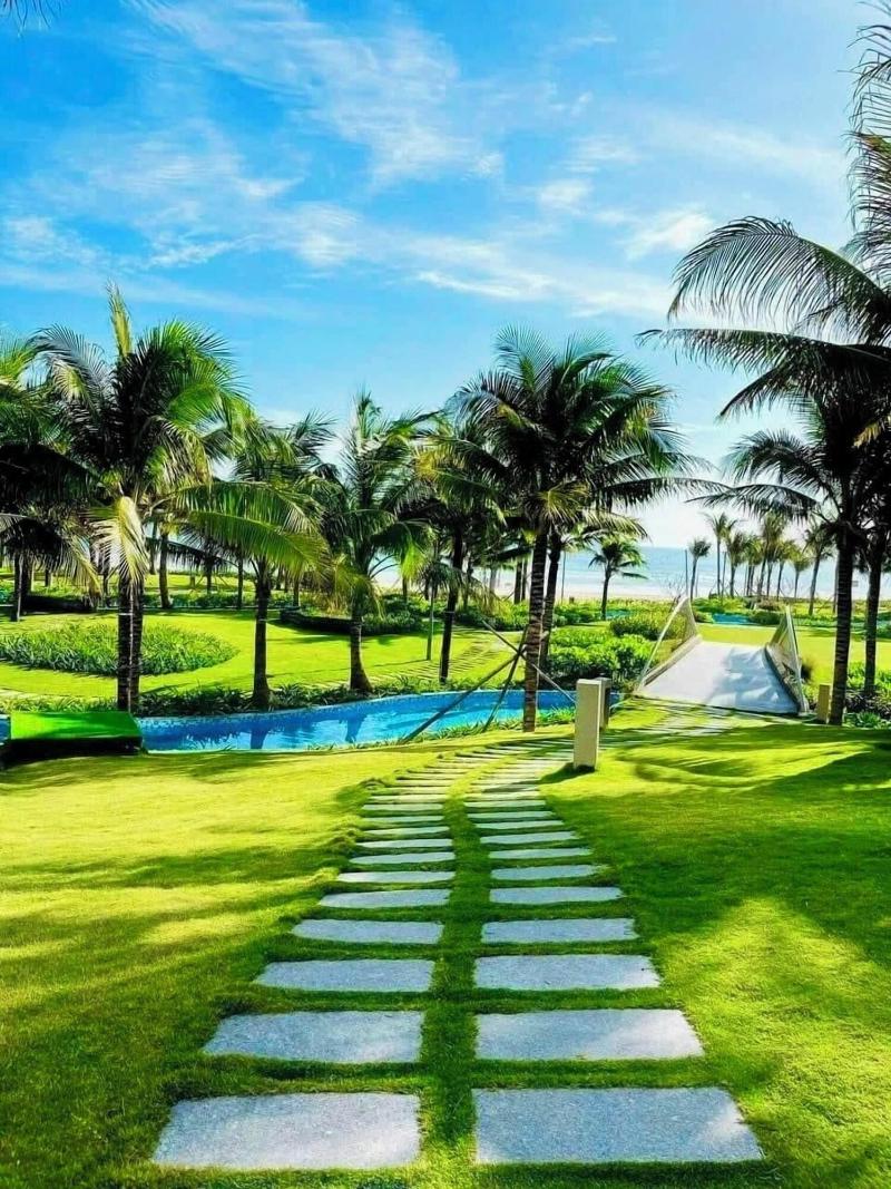 Hammi Seaview image