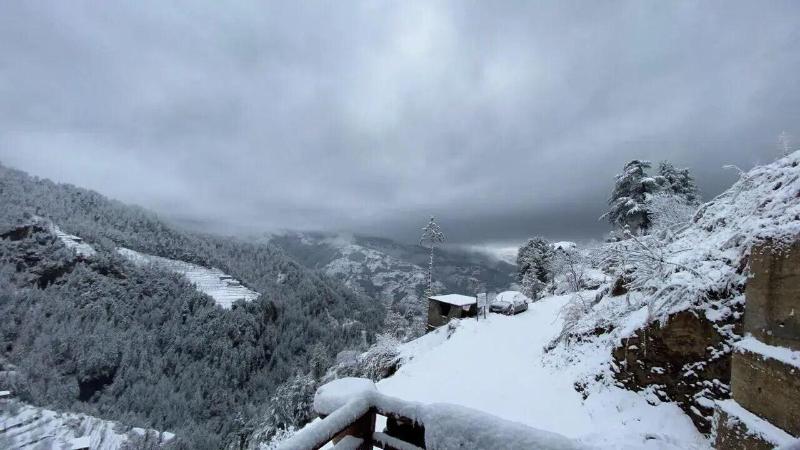 Alpine Crest Homestay image