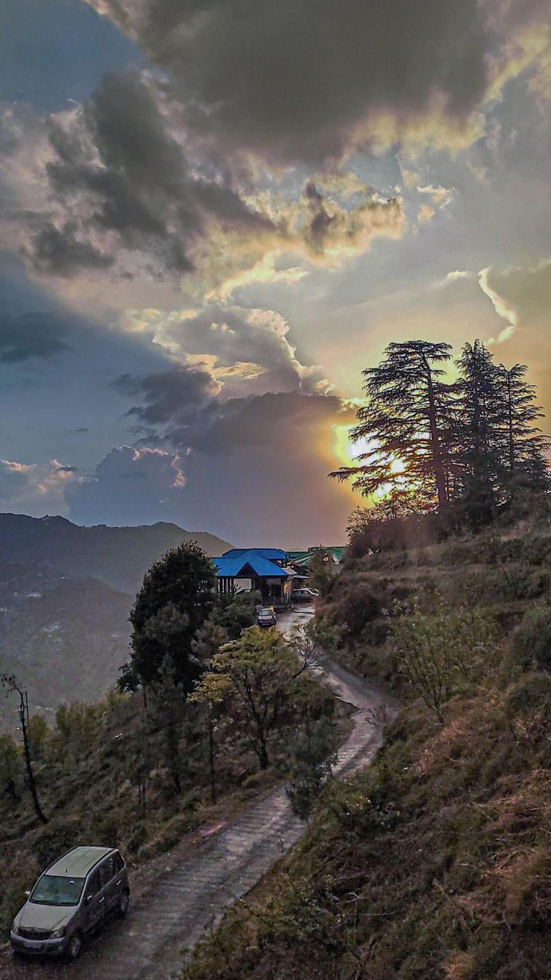 Alpine Crest Homestay image