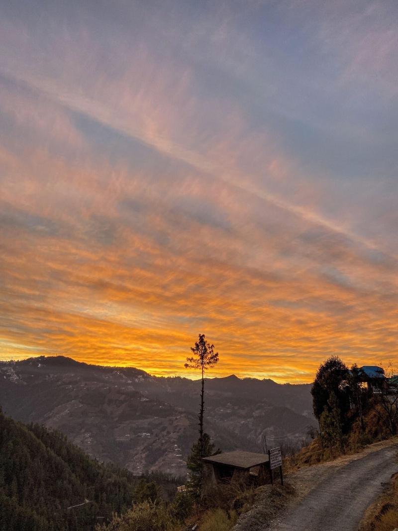 Alpine Crest Homestay image