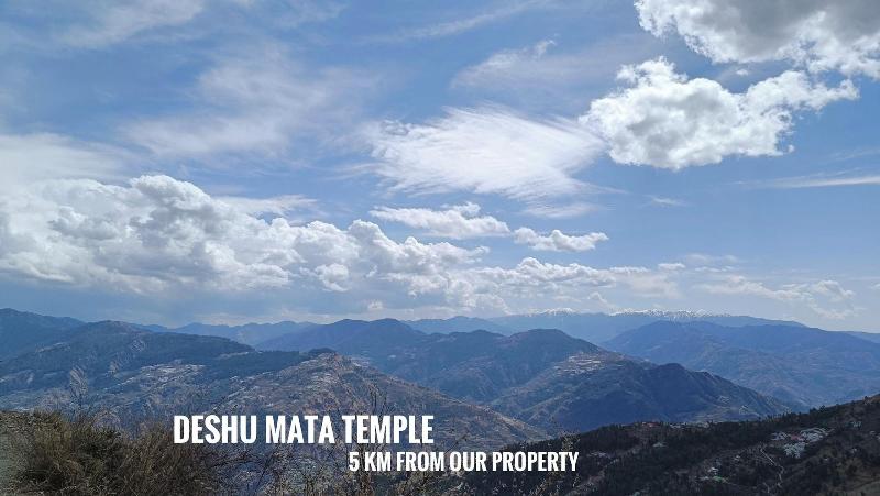 Alpine Crest Homestay image