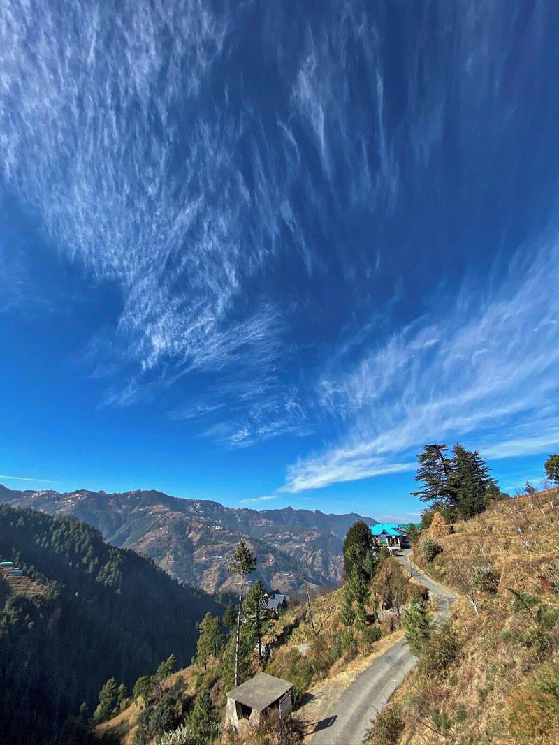 Alpine Crest Homestay image