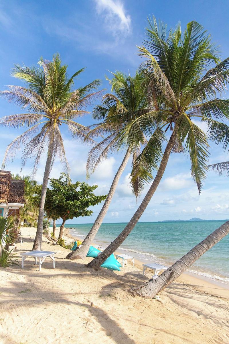 Sand Terrace Beach Bungalows — view