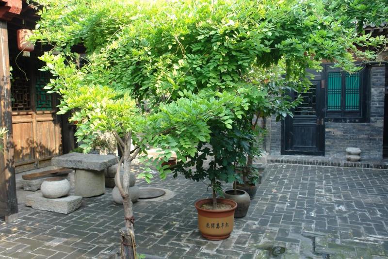 Yi de Pingyao image