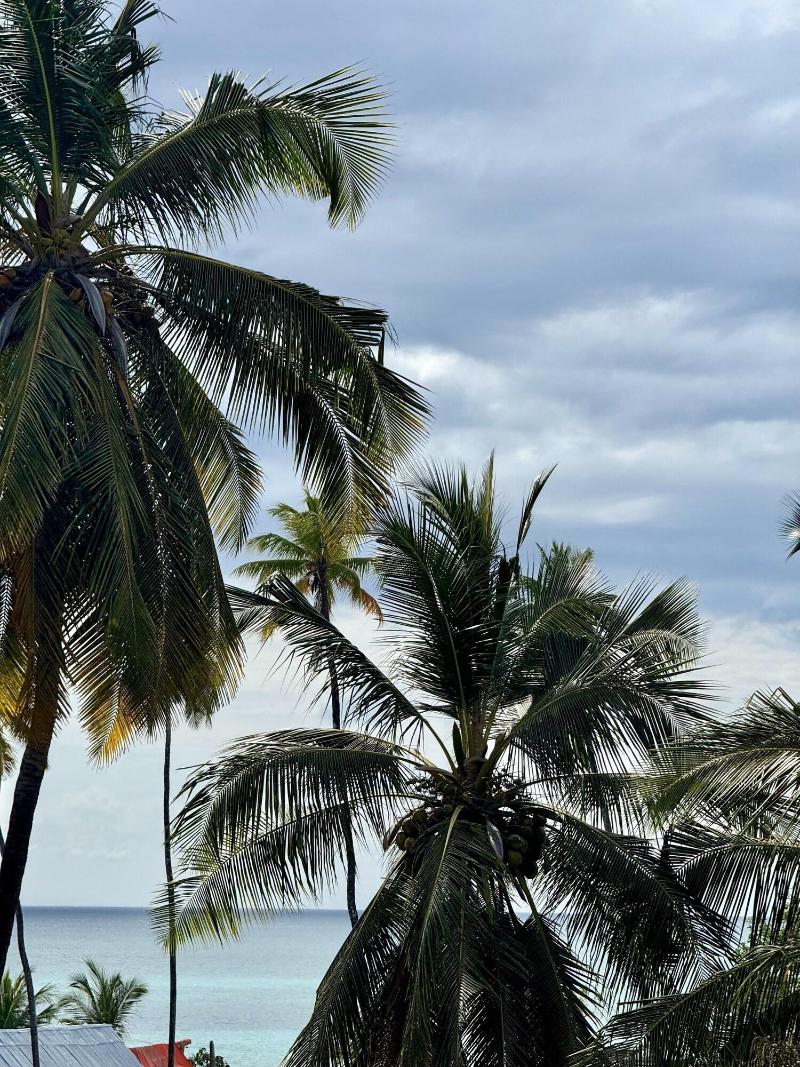 Rafiki Hotel Nungwi Beach image