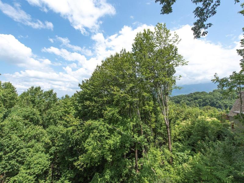 Birdsong By Jackson Mountain Rentals