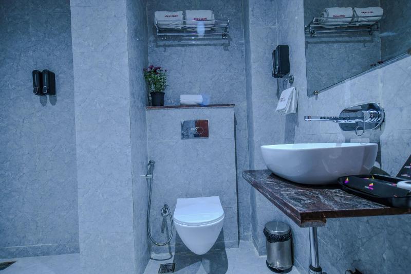 Aceotel Premier Vijay Nagar image