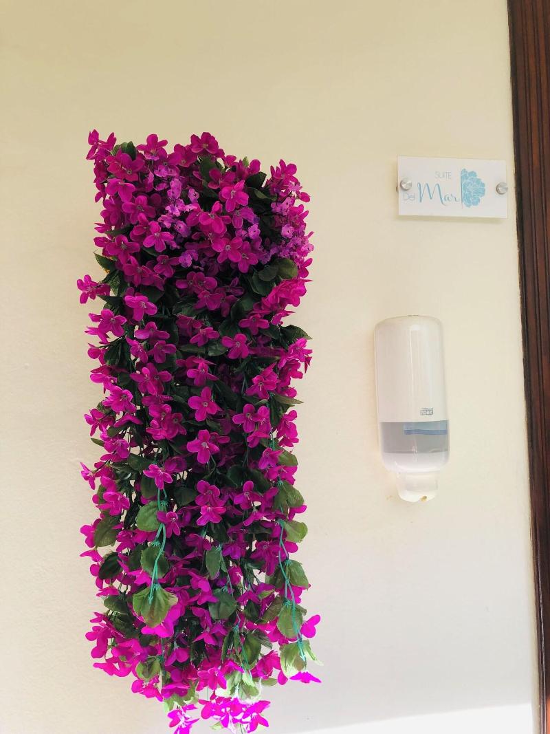 Hotel Boutique Villas Segovia Suites Cozumel image