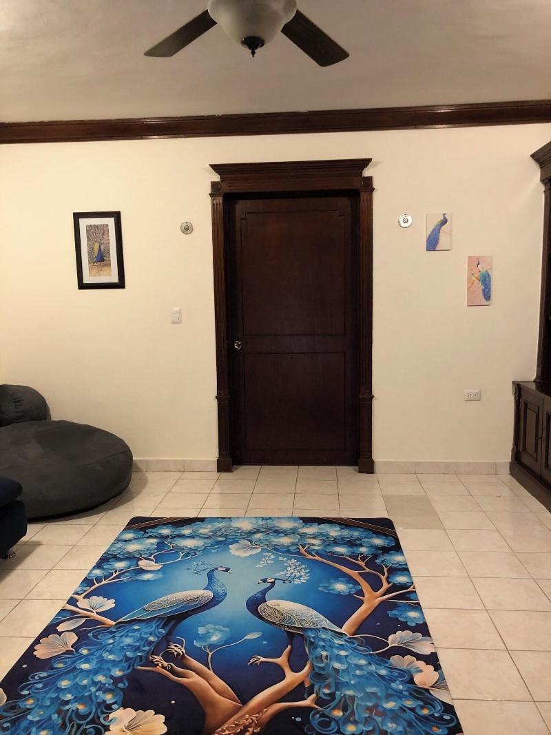 Hotel Boutique Villas Segovia Suites Cozumel image