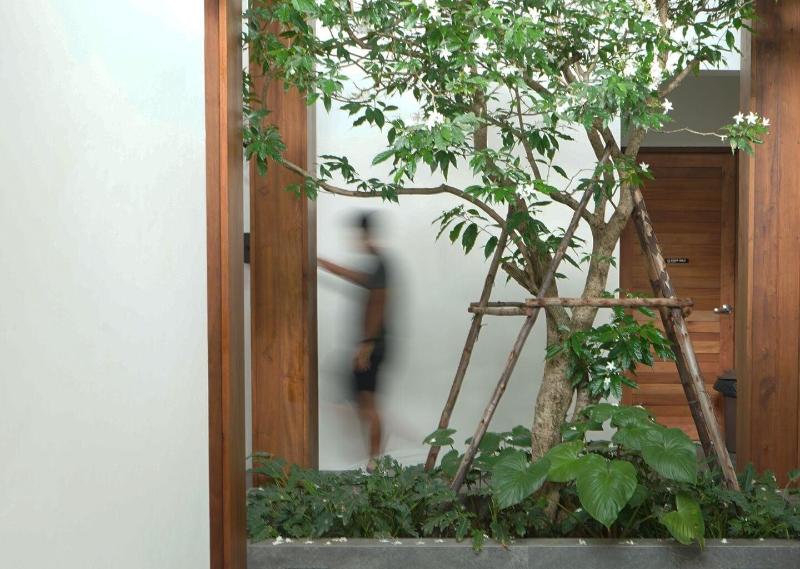 Glyn Chiangmai image