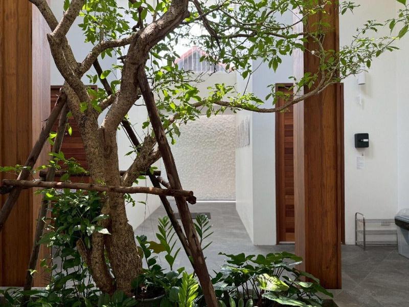 Glyn Chiangmai image
