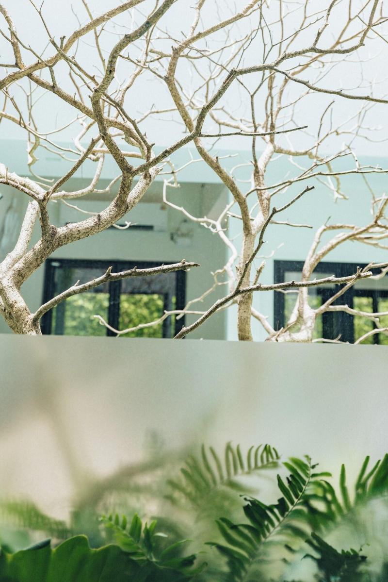 Glyn Chiangmai image