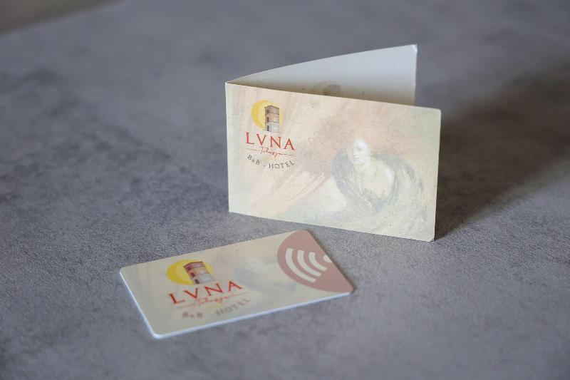 Lvna Telesja image