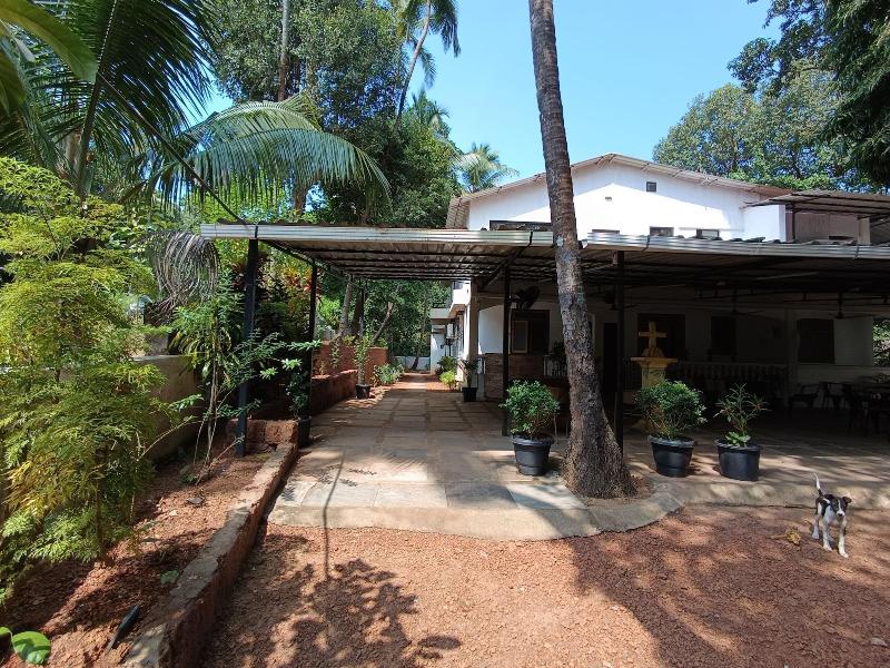 Jangala Resort image