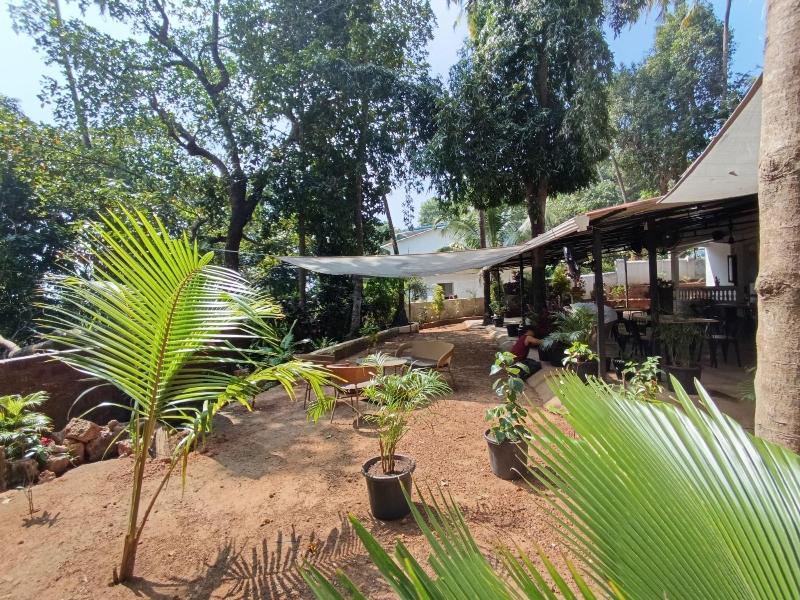 Jangala Resort image
