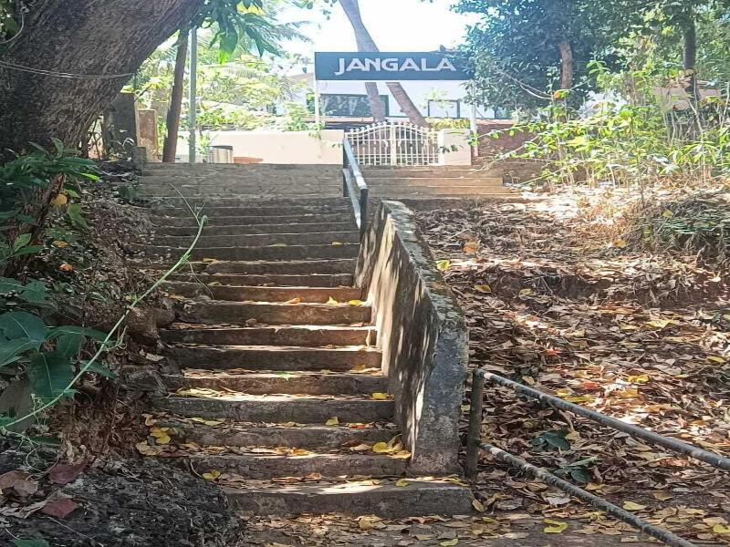 Jangala Resort image