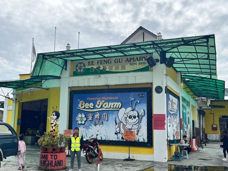 The Retreat Mountain View At Cameron