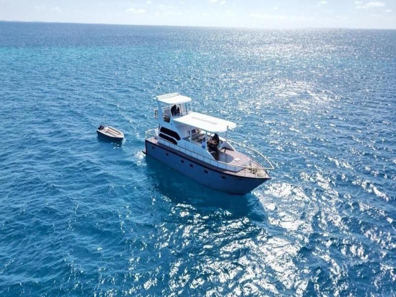 Odyssey Of Sunny Side image