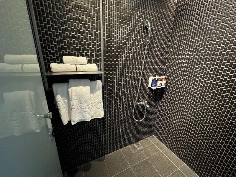 Hayata Hotel No Children Under 12 Years Old image