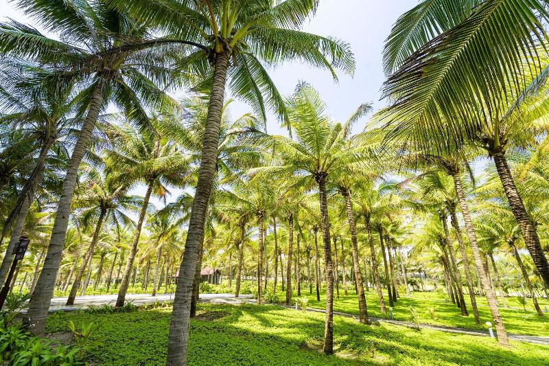 Ocean Waves Resort Cam Ranh image