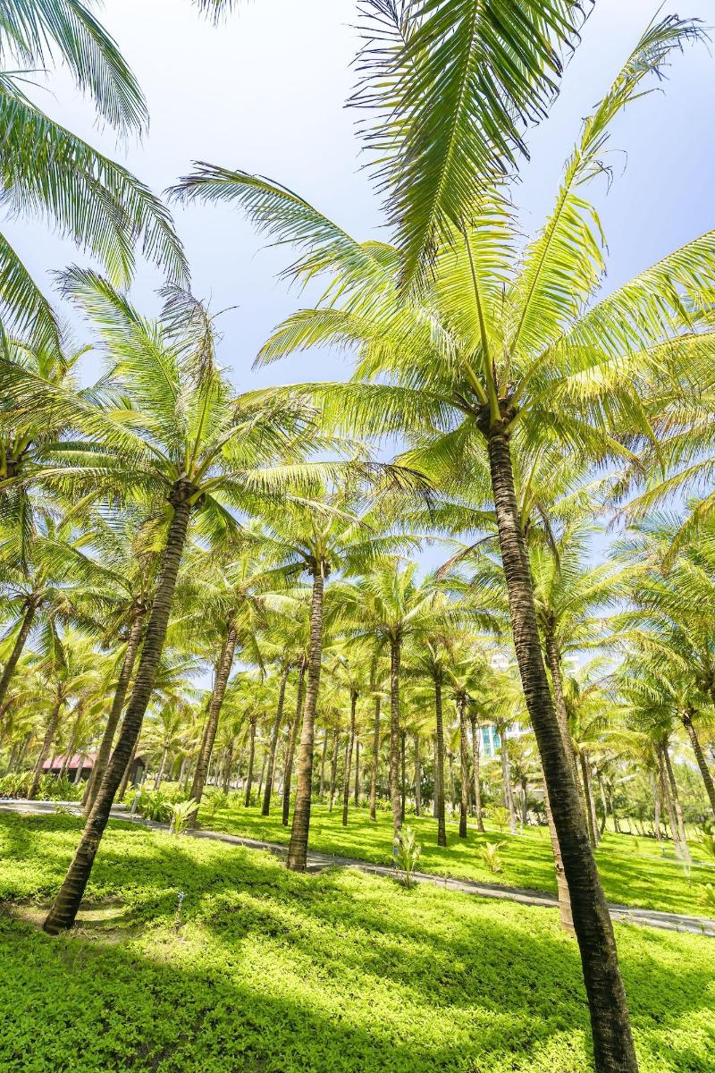 Ocean Waves Resort Cam Ranh image