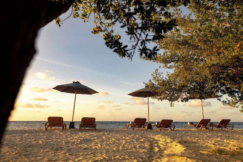 Cocomo Maldives image